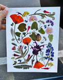 Native Plant Garden Print