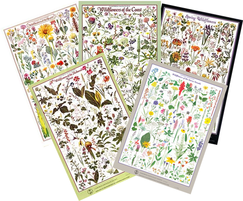 Poster Pack - Mix and Match