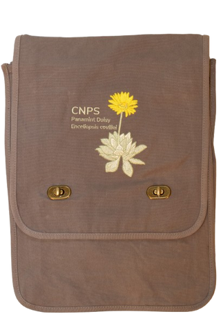 Panamint Daisy Canvas Field Bag