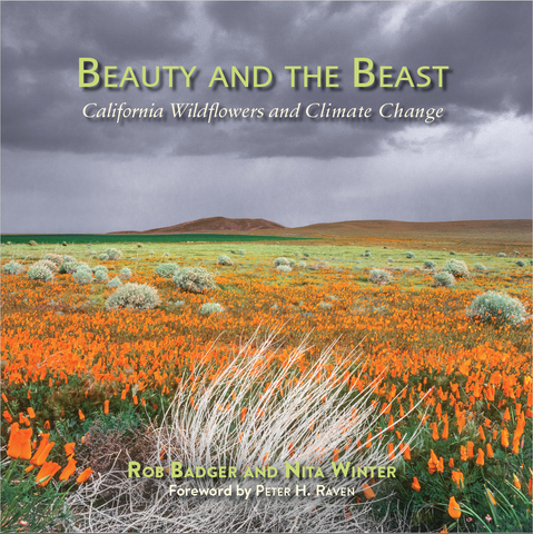 Beauty and the Beast: California Wildflowers and Climate Change