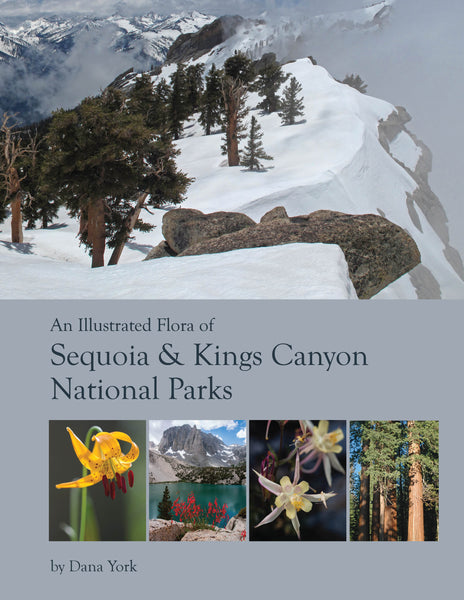 An Illustrated Flora of Sequoia and Kings Canyon National Parks   California Native Plant Society