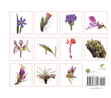 A Guide to the Flora of the Sierra de San Pedro Mártir
