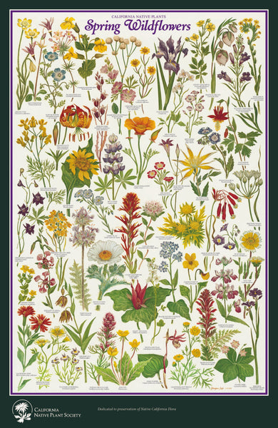 Poster Pack - Mix and Match – California Native Plant Society