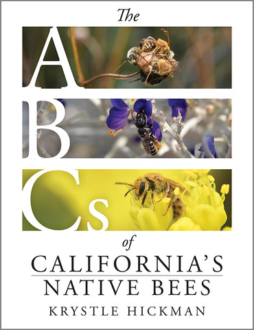 The ABC's of California's Native Bees