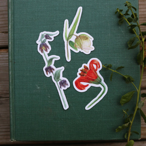 Lillies Sticker Set