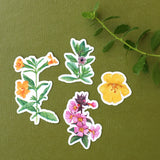 Sticker Pack (Mix and Match)