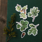 Oak Trees Sticker Set