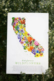 Wildflowers Across California - Poster