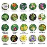 Mystery Native Plant Pin