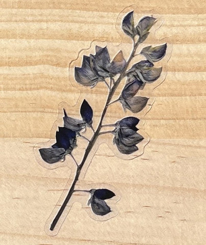 Silver Lupine Sticker