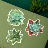 Sticker Pack (Mix and Match)