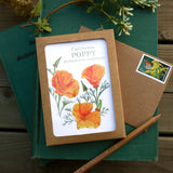 Set of 8 Wildflower Cards