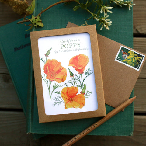 Set of 8 Wildflower Cards
