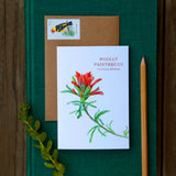 Set of 8 Wildflower Cards
