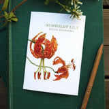 Set of 8 Wildflower Cards