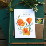 Set of 8 Wildflower Cards