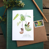 Set of 8 Wildflower Cards