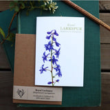 Set of 8 Wildflower Cards