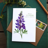 Set of 8 Wildflower Cards