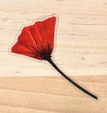 California Poppy Sticker