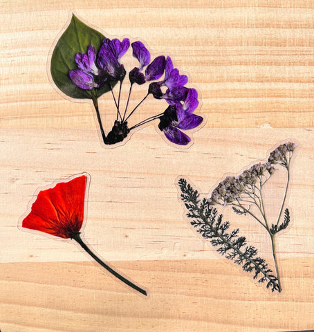 Botanical Sticker Pack (Mix and Match)
