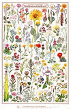 Poster Pack (Mix and Match)