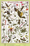 Poster Pack (Mix and Match)