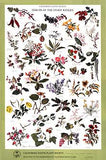 Poster Pack (Mix and Match)