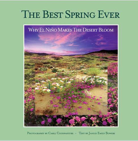 The Best Spring Ever: Why El Niño Makes the Desert Bloom