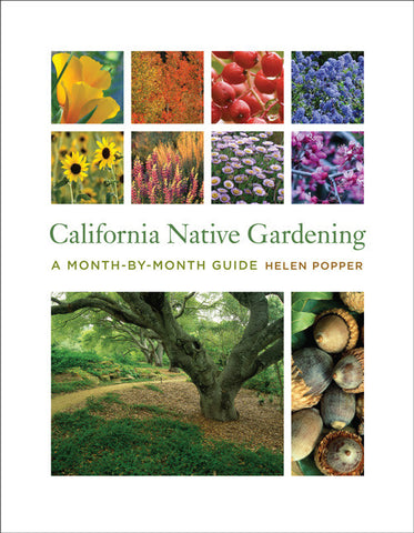California Native Gardening - A Month-by-Month Guide
