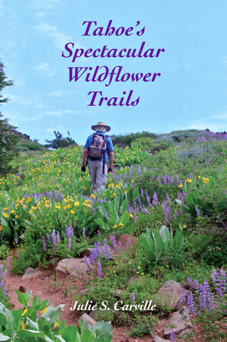 Tahoe's Spectacular Wildflower Trails