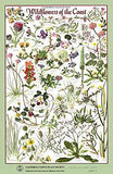 Poster Pack (Mix and Match)